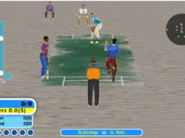 beach-cricket