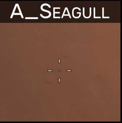 A_Seagull valorant crosshair