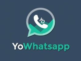 yowhatsapp