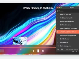 mkv video player