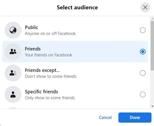 Facebook audience